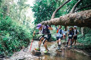 BIB: 
                            <button type="button" onclick="openModal(25374914)" class="btn btn-primary btn-sm float-right btn-popup" data-toggle="modal" data-target=".modal-high-quality">
                        <i class="fas fa-shopping-cart"></i> Add to Cart
                    </button>
                                            <button type="button" onclick="isThisMe(25374914, true)" class="btn btn-success btn-sm float-right btn-popup btn-isme hidden" data-toggle="tooltip" data-placement="bottom" title="นี่คือรูปของคุณใช่ไหม คลิกที่นี่เพื่อเอาเข้าอัลบั้ม">
                        <i class="fas fa-plus"></i> Add to album
                    </button>
                    <button type="button" onclick="isThisMe(25374914, false)" class="btn btn-warning btn-sm float-right btn-popup btn-isnotme hidden">
                        <i class="fas fa-ban"></i> Remove from album
                    </button>